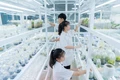 Gỡ điểm nghẽn thể chế, thúc đẩy thương mại hóa kết quả nghiên cứu