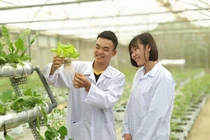 Ảnh minh họa: Website Trường Đại học Nông Lâm, Đại học Thái Nguyên.