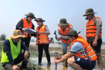 Sinh viên ngành Khoa học môi trường, Trường Đại học Khoa học, Đại học Huế trong quá trình học tập. Ảnh NTCC
