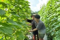 Xã Nghĩa Đô đã triển khai đồng bộ các chương trình, dự án giảm nghèo, hỗ trợ sinh kế. Ảnh: NVCC.