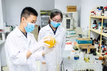Ảnh minh họa: Website Trường Đại học Bách khoa, Đại học Quốc gia Thành phố Hồ Chí Minh