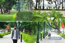 Sinh viên Trường Đại học Xây Dựng - anh Nguyễn Văn Nam đi dạo qua khu vực công viên Thống Nhất đoạn phố Lê Duẩn. Ảnh: Mạnh Đoàn