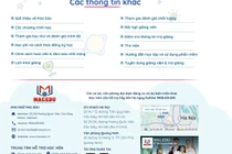 Từ vụ MAC EDU dạy tiếng Anh "chui": Cần tăng cường giám sát dạy ngoại ngữ online