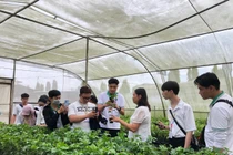 Không nên sắp xếp cơ học các ngành nông, lâm, thủy sản chỉ vì khó tuyển sinh