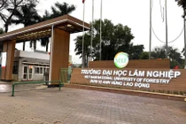 Trường Đại học Lâm nghiệp: Nhiều tiêu chí vượt xa chuẩn, chỉ 2 lĩnh vực chưa có GS,PGS