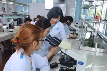 Dự kiến ít nhất 7 tiến sĩ chủ trì mỗi CTĐT: Cần làm rõ vai trò “chủ trì”, tránh hợp thức hóa hồ sơ