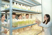Nhu cầu lao động cao, SV ngành Công nghệ sinh học có nhiều cơ hội phát triển