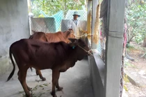 Nhận hỗ trợ từ Chương trình giảm nghèo, hộ khó khăn ở xã Đan Điền sử dụng hiệu quả ra sao?