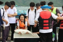 Cần chính sách đặc thù để "cứu" tuyển sinh ngành nông, lâm, thủy sản