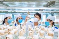 Có vai trò quan trọng trong đảm bảo an ninh lương thực, khối ngành nông-lâm-thủy sản vẫn kém hấp dẫn