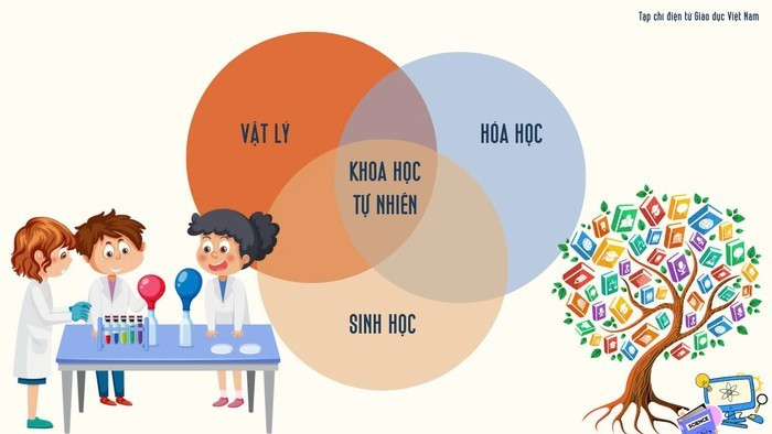Ảnh minh họa: Doãn Nhàn a109a2c7-5fb2-48a1-89c7-d0808de7746f.jpg