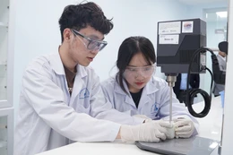 ĐH Quốc gia TP.HCM đặt mục tiêu có thêm 1.500 tiến sĩ: Trường đại học thành viên đánh giá ra sao?