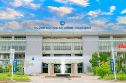 Phê duyệt chủ trương thành lập Phân hiệu Trường Đại học Tài chính - Marketing tại tỉnh Quảng Ngãi