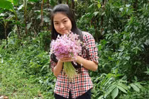 Minh Thu, Hà Nội , PTTH Mv.Lmonoxop (2270)