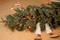 Phì cười với bộ ảnh hài ngày Giáng sinh