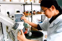 Khu vực công "chảy máu chất xám" trầm trọng vì lương thấp?