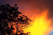 Chiêm ngưỡng những hình ảnh tuyệt đẹp được chụp từ Smartphone