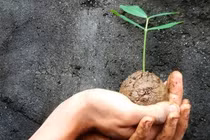 Cuộc thi Nhiếp ảnh trẻ thế giới 2012: Thế giới qua ánh mắt trẻ em