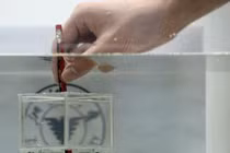 Trung-Mỹ-Anh chạy đua nghiên cứu phát triển công nghệ tàng hình