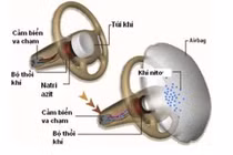Tầm quang trọng không ngờ của túi khí trên xe hơi