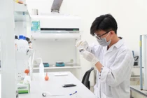 Sáp nhập, giải thể các cơ sở giáo dục đại học, giáo dục nghề nghiệp không đạt chuẩn