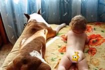 Phút 'xì tin' của bé với động vật