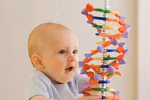 Đừng đổ hết cho gen di truyền