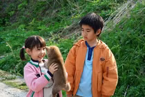 Clip về những chú chó khiến con người rơi lệ