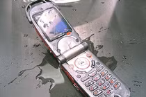 Mẹo vàng giúp “dế” hồi sinh khi gặp nước