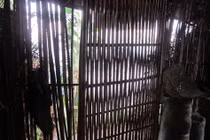 DS bạn đọc ủng hộ Quỹ TLVN tuần 4 tháng 12/2011