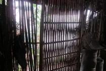 DS bạn đọc ủng hộ Quỹ TLVN tuần 4 tháng 12/2011