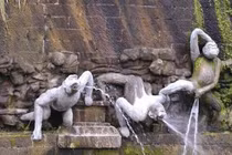 Những bức ảnh siêu hài của động vật