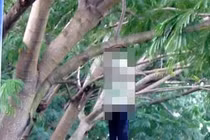 Nghệ An: Vỡ nợ do thua bạc, một người đàn ông treo cổ tự vẫn