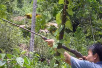 Nghệ An: Bắn chết người vì tưởng nhầm là thú rừng