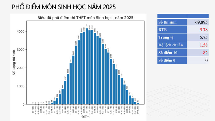 bao-cao-15-7-2025-version3-hinh-anh-26.jpg