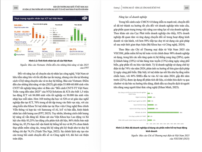 Một phần nội dung trong Báo cáo Thương mại Quốc tế Việt Nam 2025.