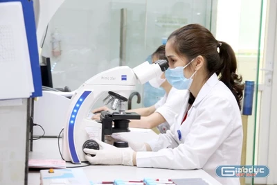 ĐBQH, nhà khoa học kỳ vọng vào cơ chế, chính sách vượt trội của Hà Nội để thu hút người tài năng