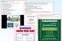 Văn bằng 2 Ngôn ngữ Anh mang lại đặc quyền, đặc lợi gì mà nhiều người đổ xô đi học?