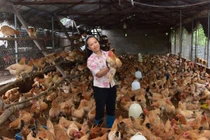 Hợp tác xã tăng cường ứng dụng chuyển đổi số giúp nông dân nâng cao thu nhập