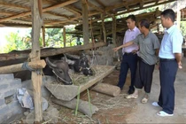 Tập huấn triển khai ứng dụng số, ngân hàng chính sách hỗ trợ người dân tiếp cận vốn dễ dàng