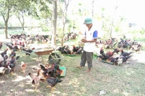 Chuyển đổi số có nhiều lợi ích rõ ràng, hợp tác xã ở Hà Nội mong "cầm tay chỉ việc" nhiều hơn