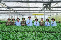 Điểm chuẩn, học phí và tiềm lực NCKH của một số trường đào tạo khối ngành Nông - Lâm nghiệp