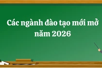 Năm 2026 nhiều CSGDĐH mở thêm ngành mới, chủ yếu thuộc nhóm công nghệ - kỹ thuật