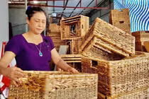 "Người trong cuộc" chia sẻ việc tối ưu quy trình, mở rộng thị trường xuất khẩu nhờ chuyển đổi số