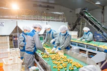 Doanh nghiệp chọn tiếp cận nền tảng dữ liệu là “xương sống” của chuyển đổi số