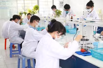 Học bổng cho người học khoa học cơ bản, kỹ thuật và công nghệ là cần thiết nhưng chưa đủ 