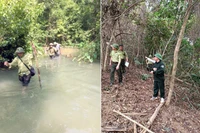 Có mã ngành Kiểm lâm sẽ giúp đội ngũ kiểm lâm chuyên nghiệp hóa, chuyên môn hóa