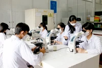 Kết luận của Bộ Chính trị về tiếp tục đổi mới căn bản, toàn diện giáo dục
