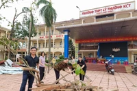 Hải Phòng: 303 công trình trường học bị ảnh hưởng do bão, khẩn trương khắc phục