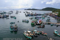 Hợp tác quốc tế về phát triển bền vững kinh tế biển	